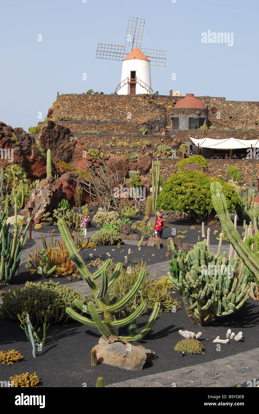 Jardin de Cactus, Guatiza, Lanzarote, Kanarische Inseln, Spanien Stockfoto