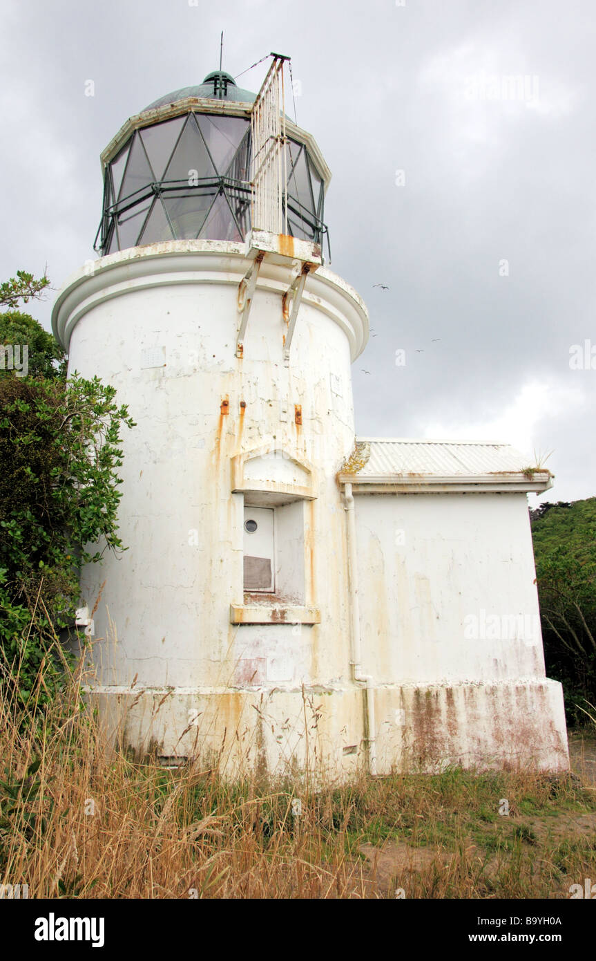 Leuchtturm auf Somes Island Neuseeland Stockfoto