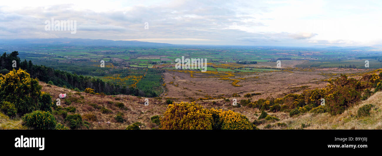 Panoramablick auf der landschaftlich reizvollen Gegend in Co Tipperary, Irland Stockfoto