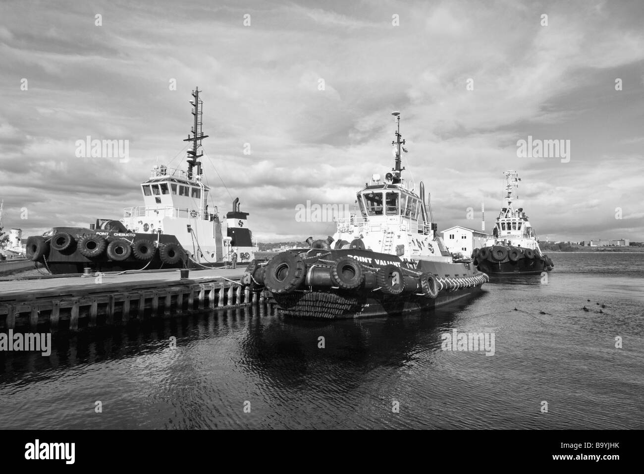 Drei Schlepper im Wasser in Halifax, Nova Scotia, Kanada in schwarz / weiß Stockfoto