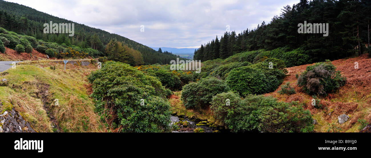 Panoramablick auf der landschaftlich reizvollen Gegend in Co Tipperary, Irland Stockfoto