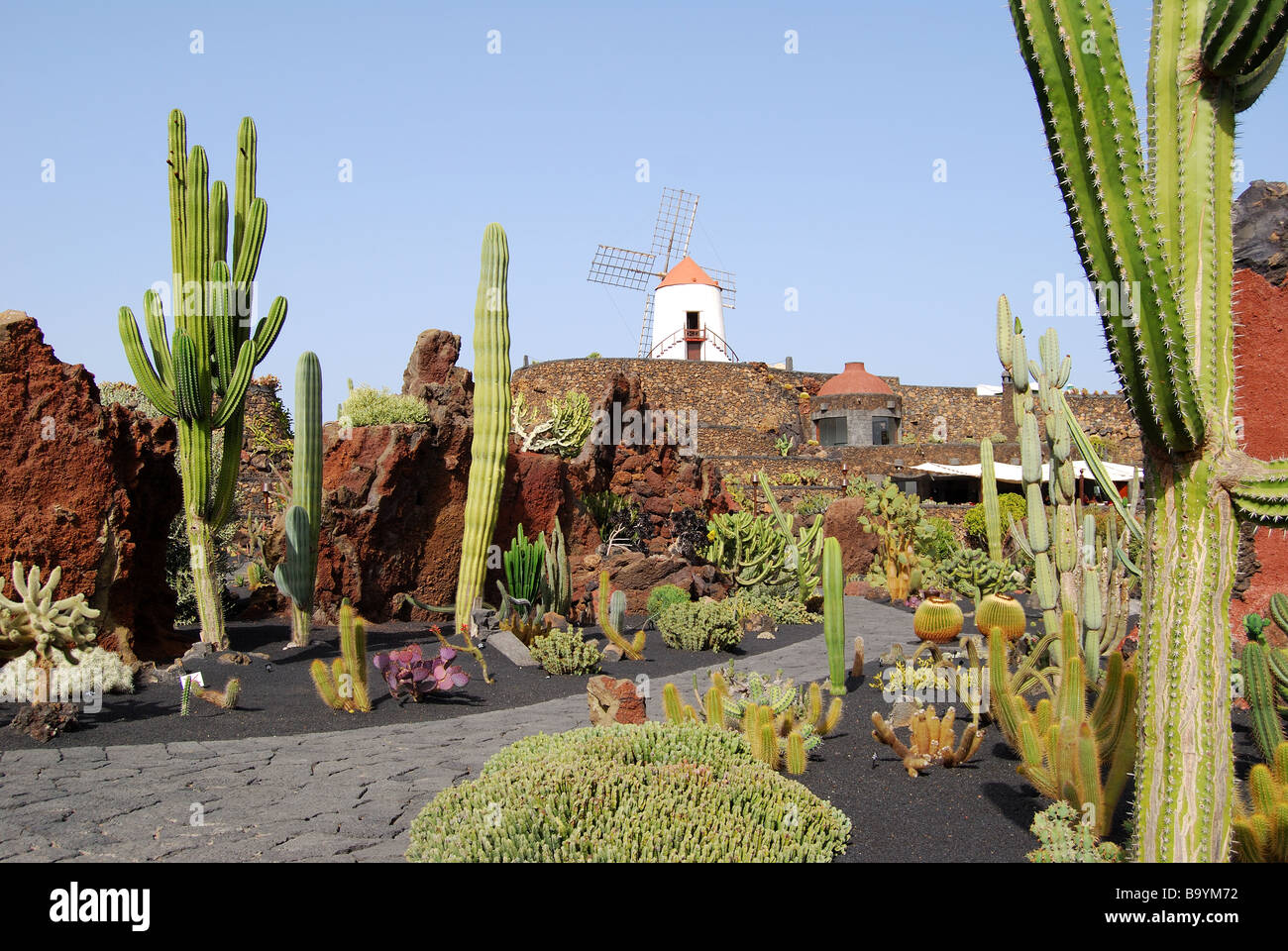 Jardin de Cactus, Guatiza, Lanzarote, Kanarische Inseln, Spanien Stockfoto