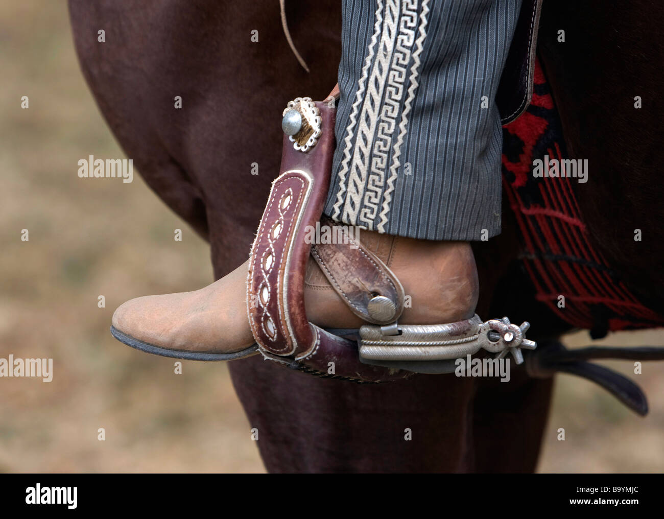 Blick auf eine mexikanische Reiter Sporen Stockfoto