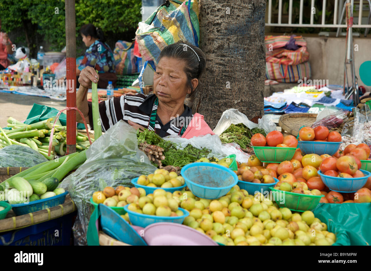 Eine alte Dame Bangkok Obst und Gemüse Stall Halter umgeben von ihren Produkten Stockfoto