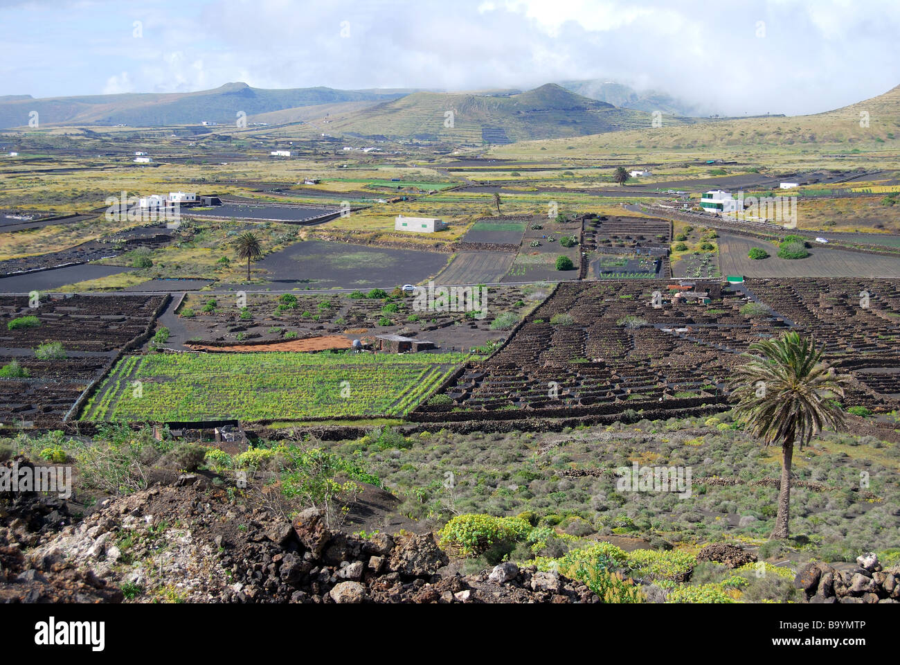 Hügelige Landschaft, nördlichen Lanzarote, Kanarische Inseln, Spanien Stockfoto