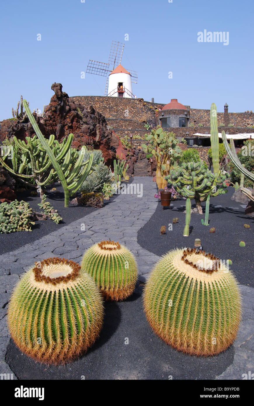 Jardin de Cactus, Guatiza, Lanzarote, Kanarische Inseln, Spanien Stockfoto