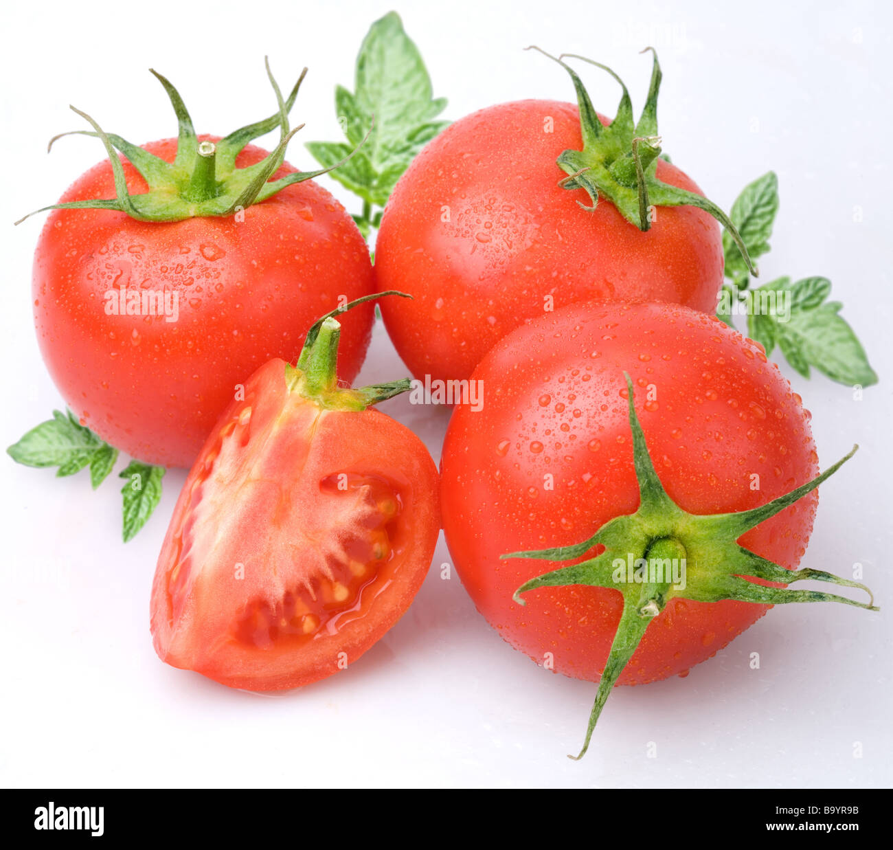 Tomaten-Objekt auf einem weißen Hintergrund Stockfoto