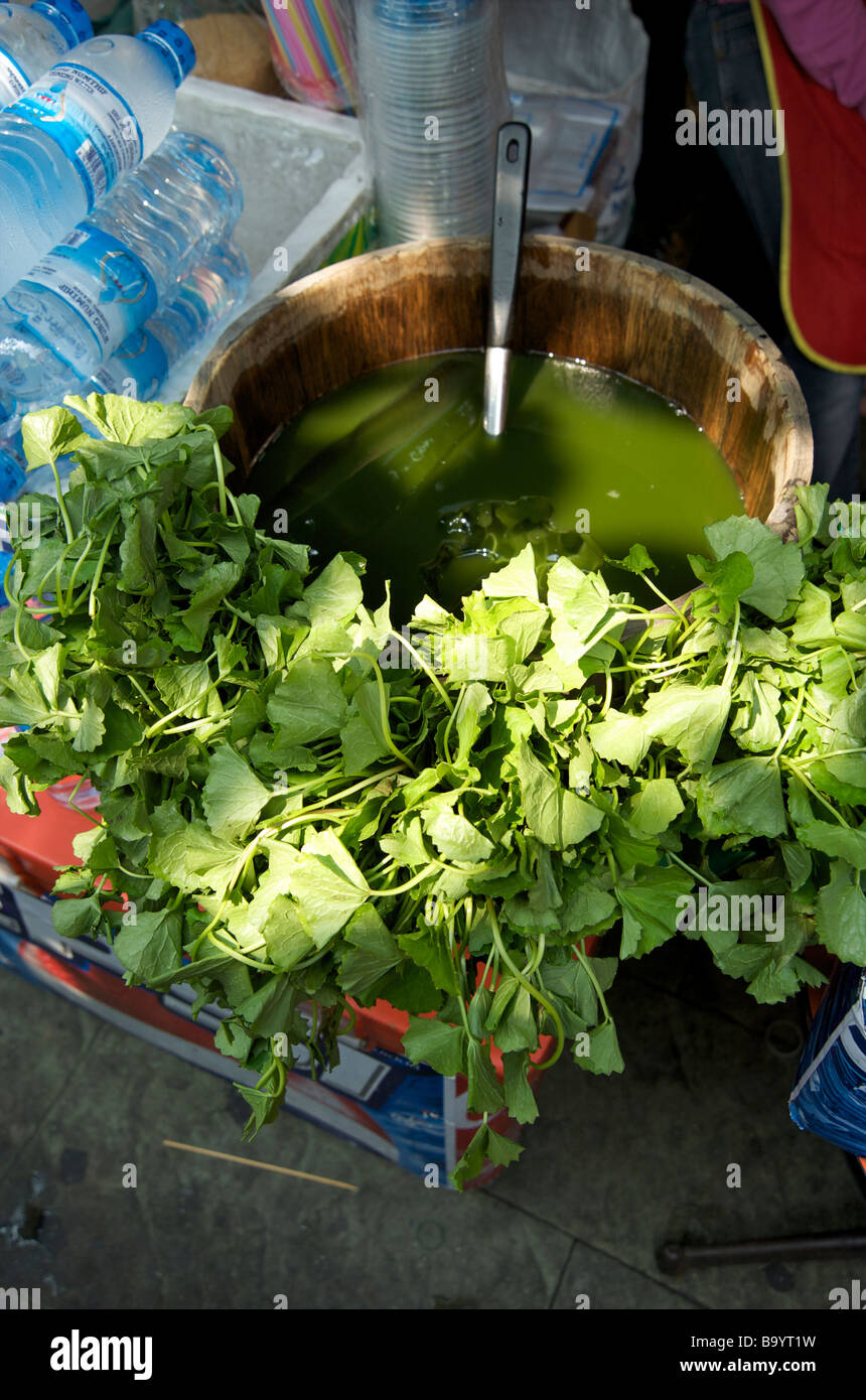 Nahaufnahme von grünen Blatt kühlen Getränk Mischung Bangkok Straße stand Stockfoto