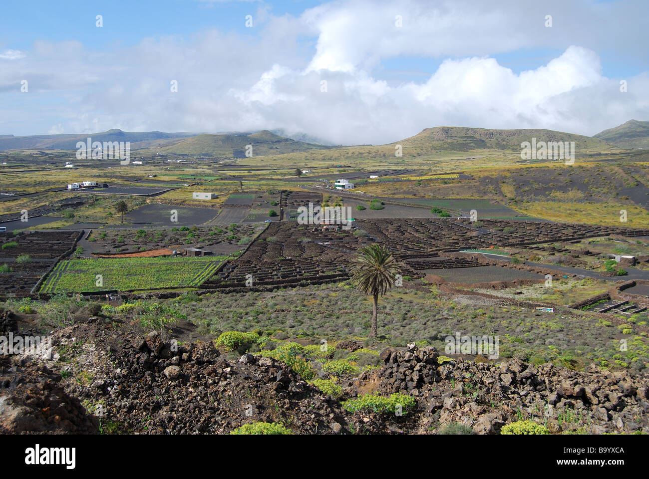 Hügelige Landschaft, nördlichen Lanzarote, Kanarische Inseln, Spanien Stockfoto