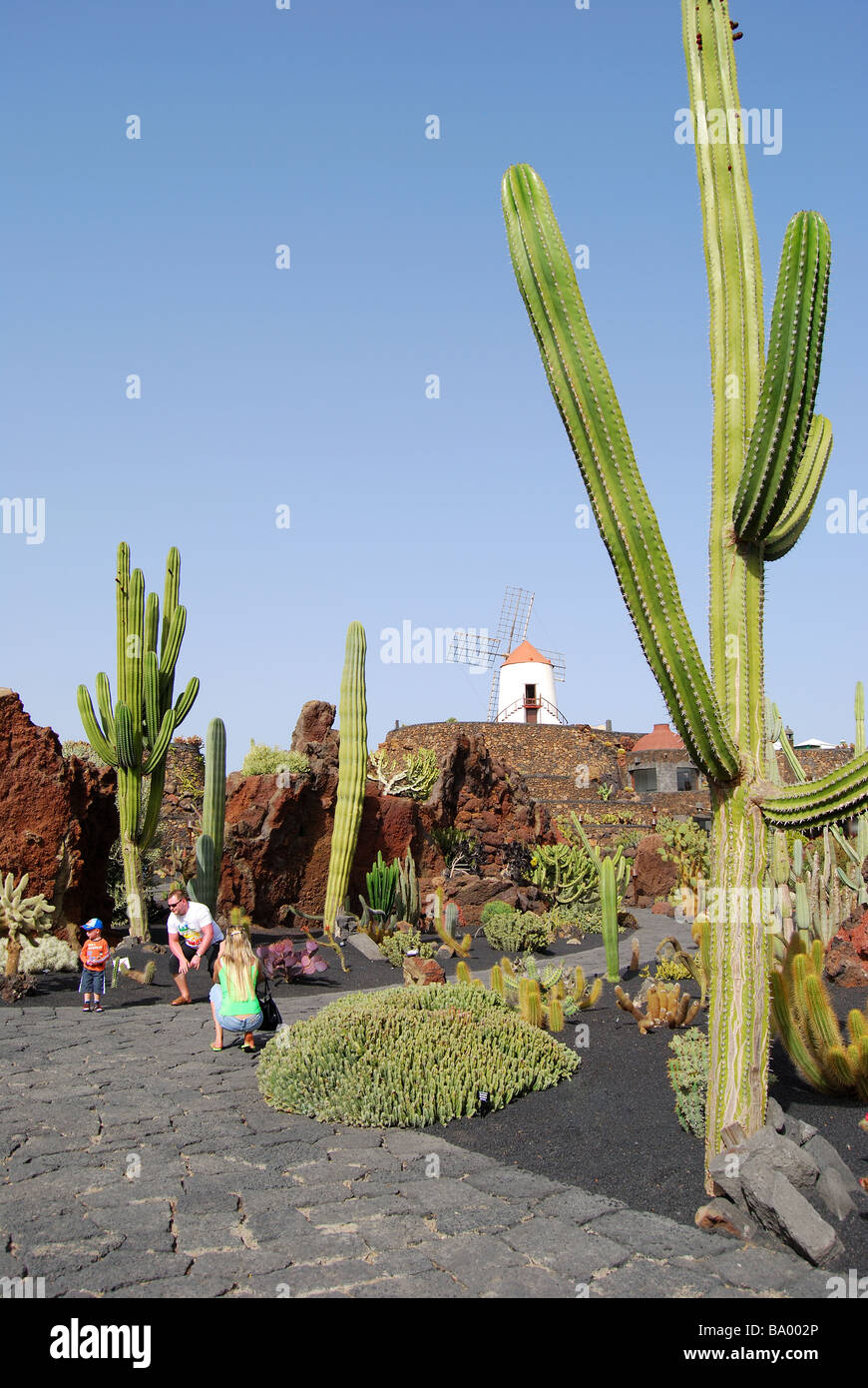 Jardin de Cactus, Guatiza, Lanzarote, Kanarische Inseln, Spanien Stockfoto