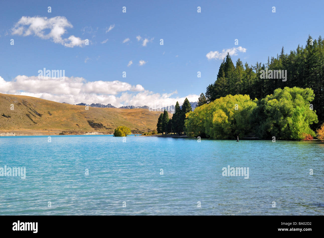 Das türkisfarbene Wasser des Lake Tekapo im Mackenzie Country, New Zealand Stockfoto