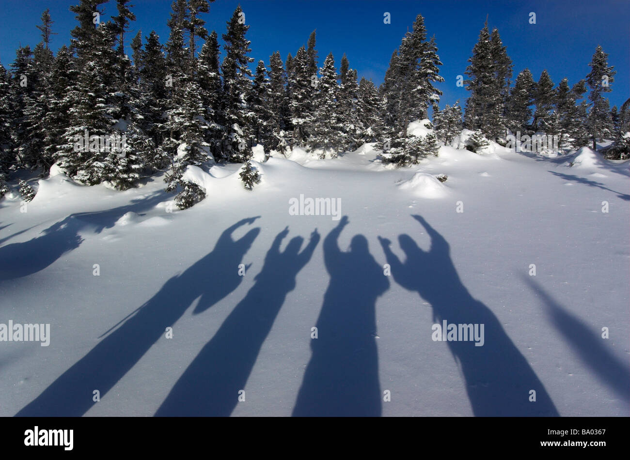 Der Schatten von vier Menschen auf dem Schnee Stockfoto