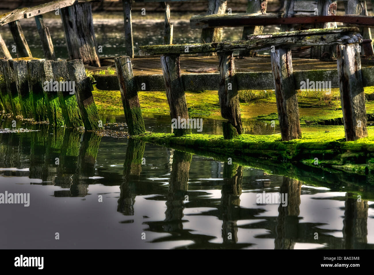 Alte hölzerne Schiffbruch auf dem Fluss Hamble in Hampshire mit grünen Gegenwartsgesellschaft, Vereinigten Königreich, Südengland. HDR Stockfoto
