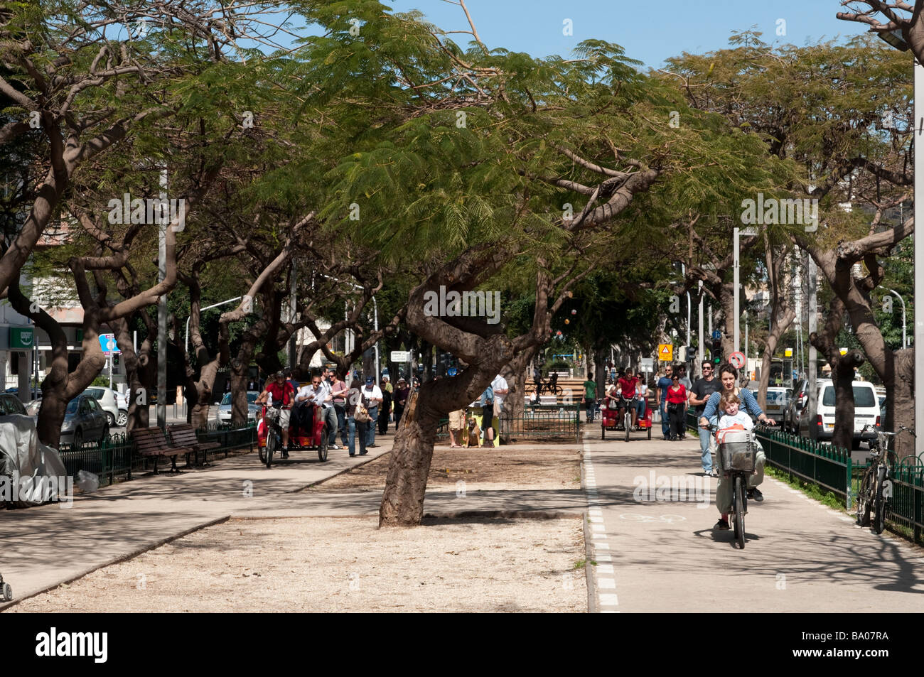 Rothschild Boulevard Tel Aviv Israel Stockfoto