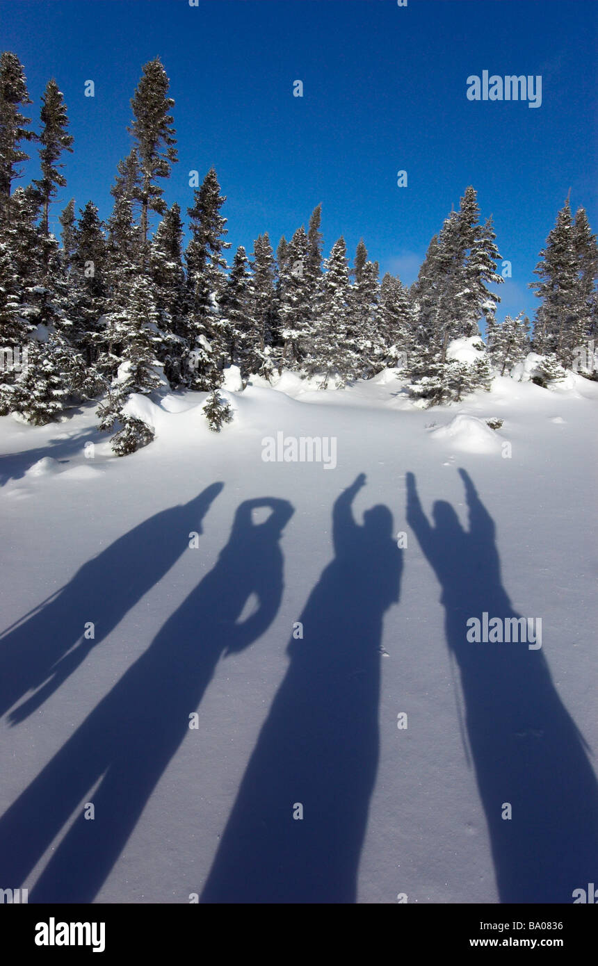 Der Schatten von vier Menschen auf dem Schnee Stockfoto