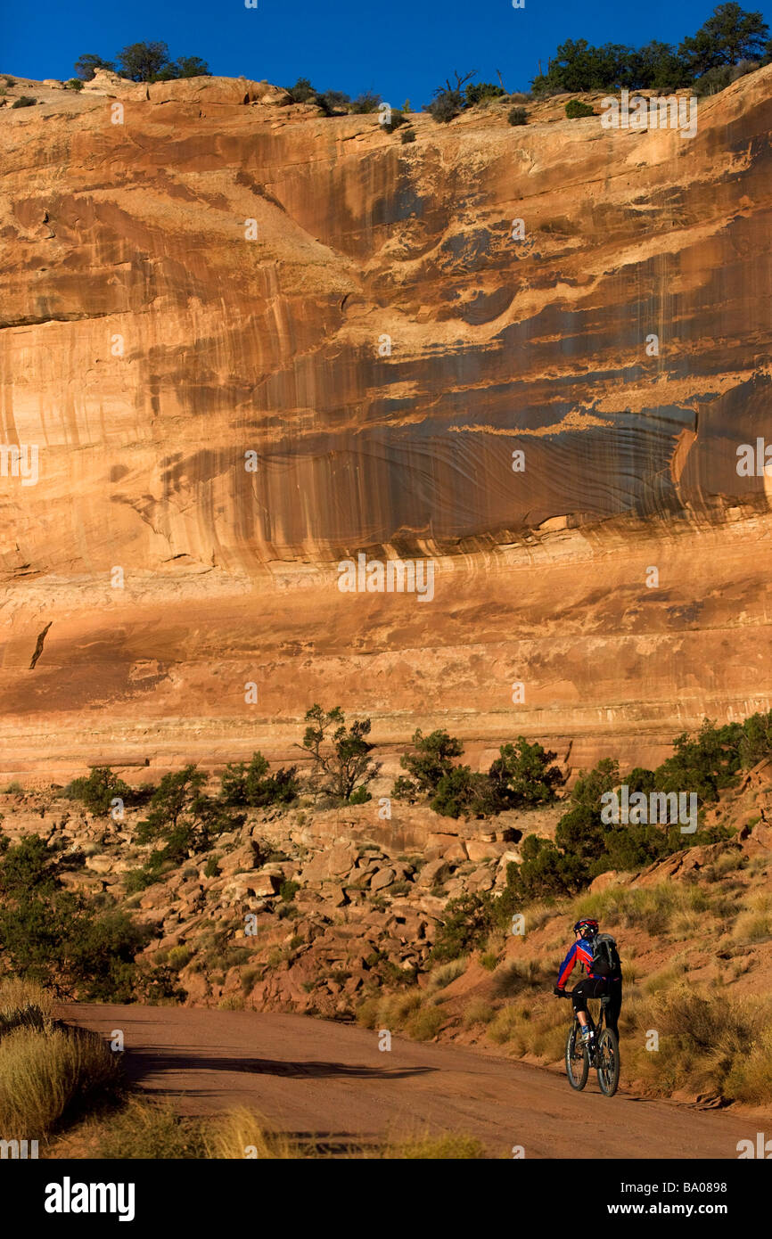 Radfahren auf der Insel im Himmel District Canyonlands National Park in der Nähe von Moab Utah Stockfoto