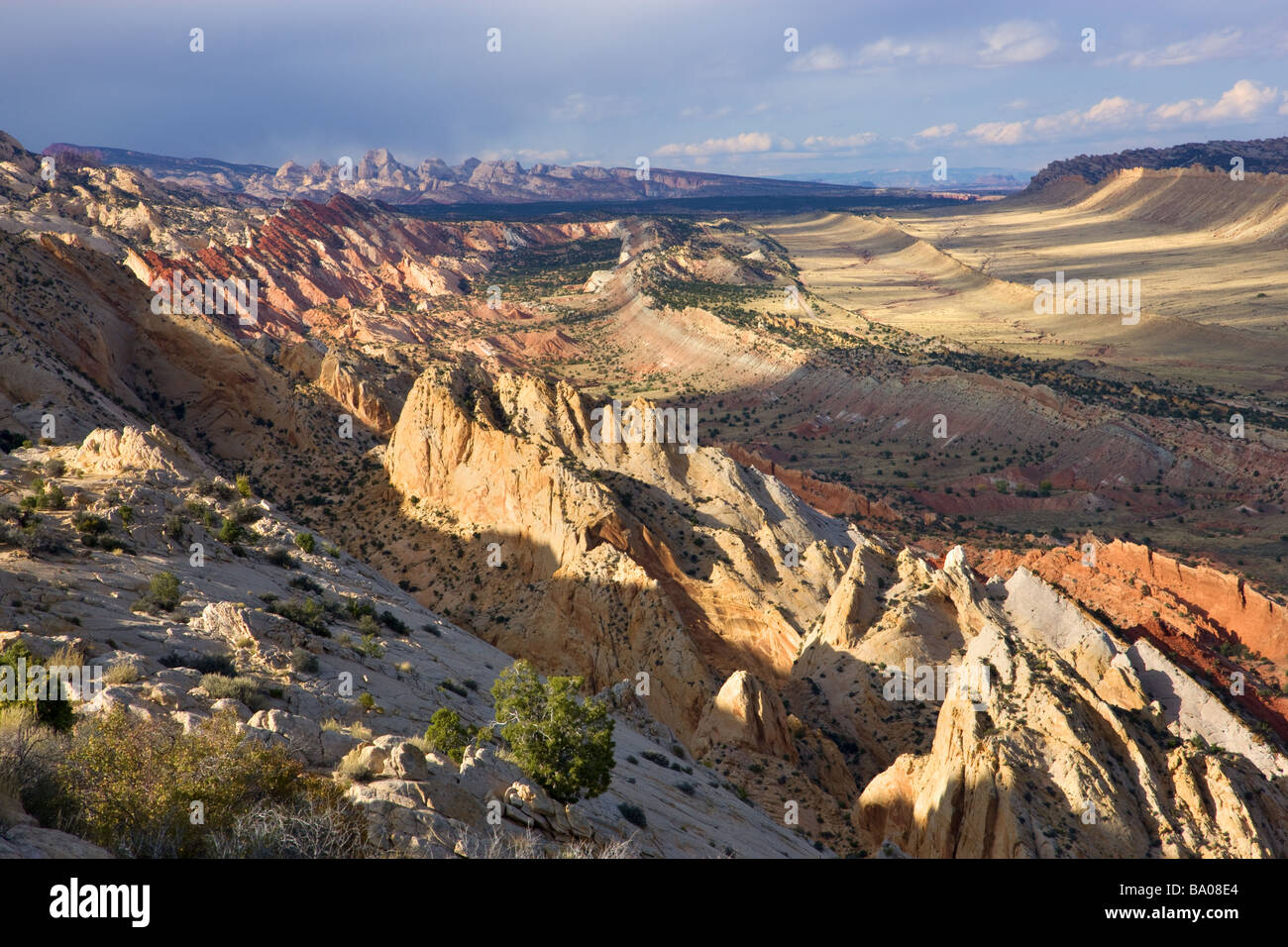 Die Waterpocket Fold Capitol Reef Nationalpark-Utah Stockfoto