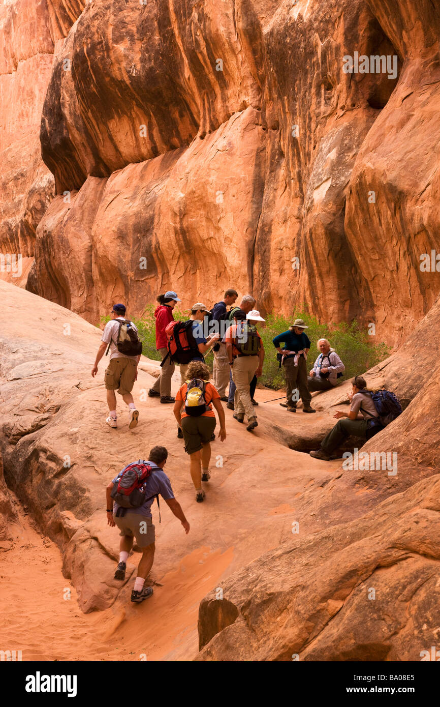 Park Ranger führen Wanderung im feurigen Ofen Arches National Park in der Nähe von Moab Utah Stockfoto
