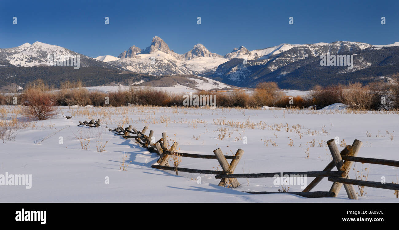Panorama des Mount Owen Grand Mitte und Süden Teton Gipfeln Wyoming USA im Winter aus einem Idaho-Feld mit Buck und Zaun im Schnee Stockfoto