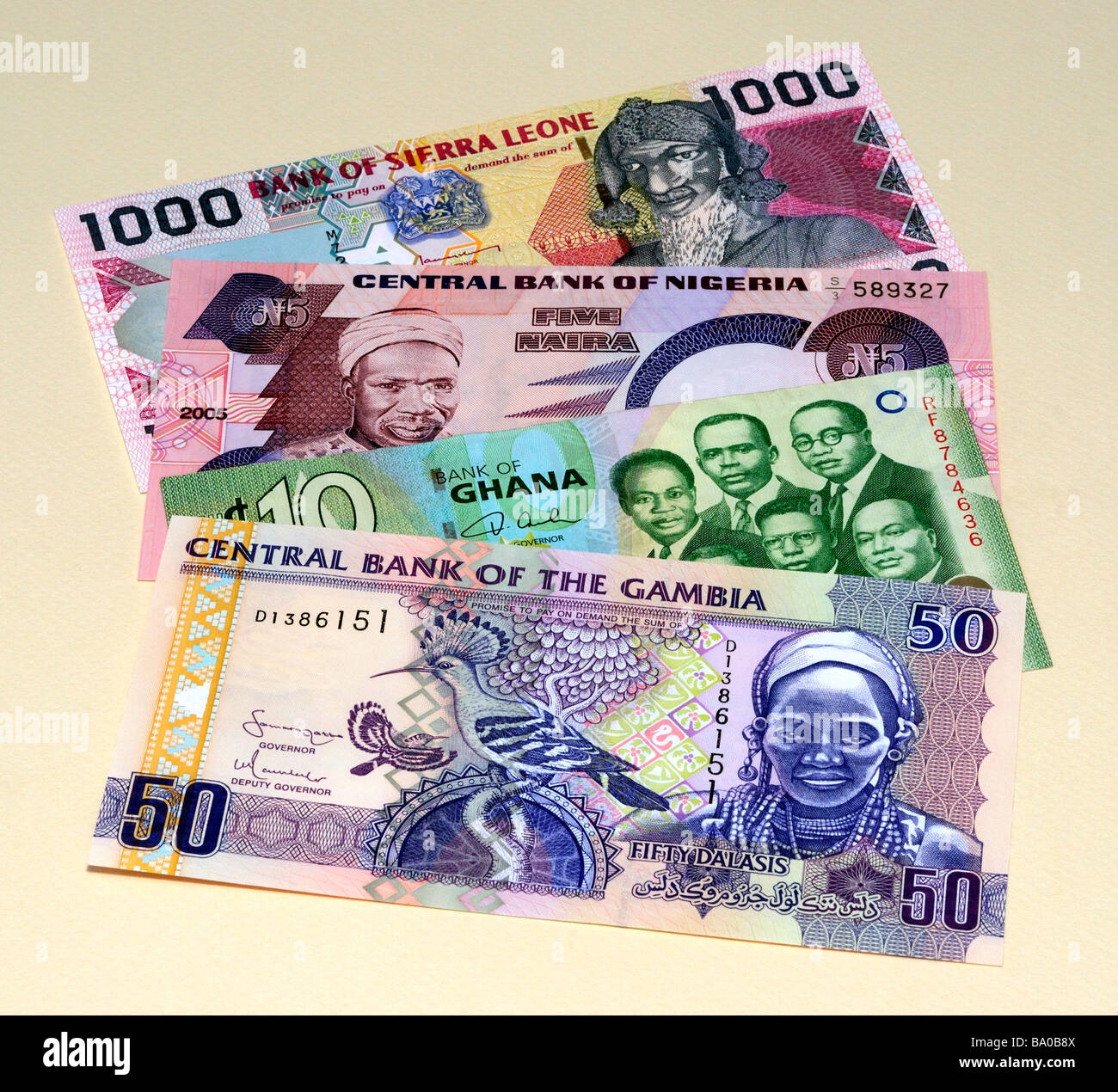 Westafrikanische Banknoten Stockfoto