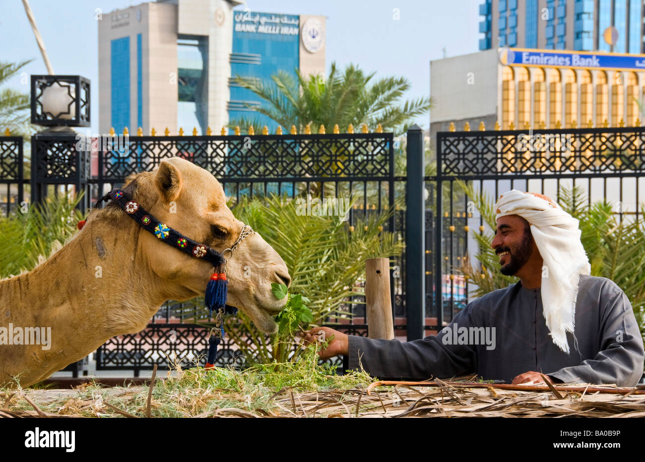 Beduinen-Mann und sein Kamel Bastakia-Dubai Stockfoto