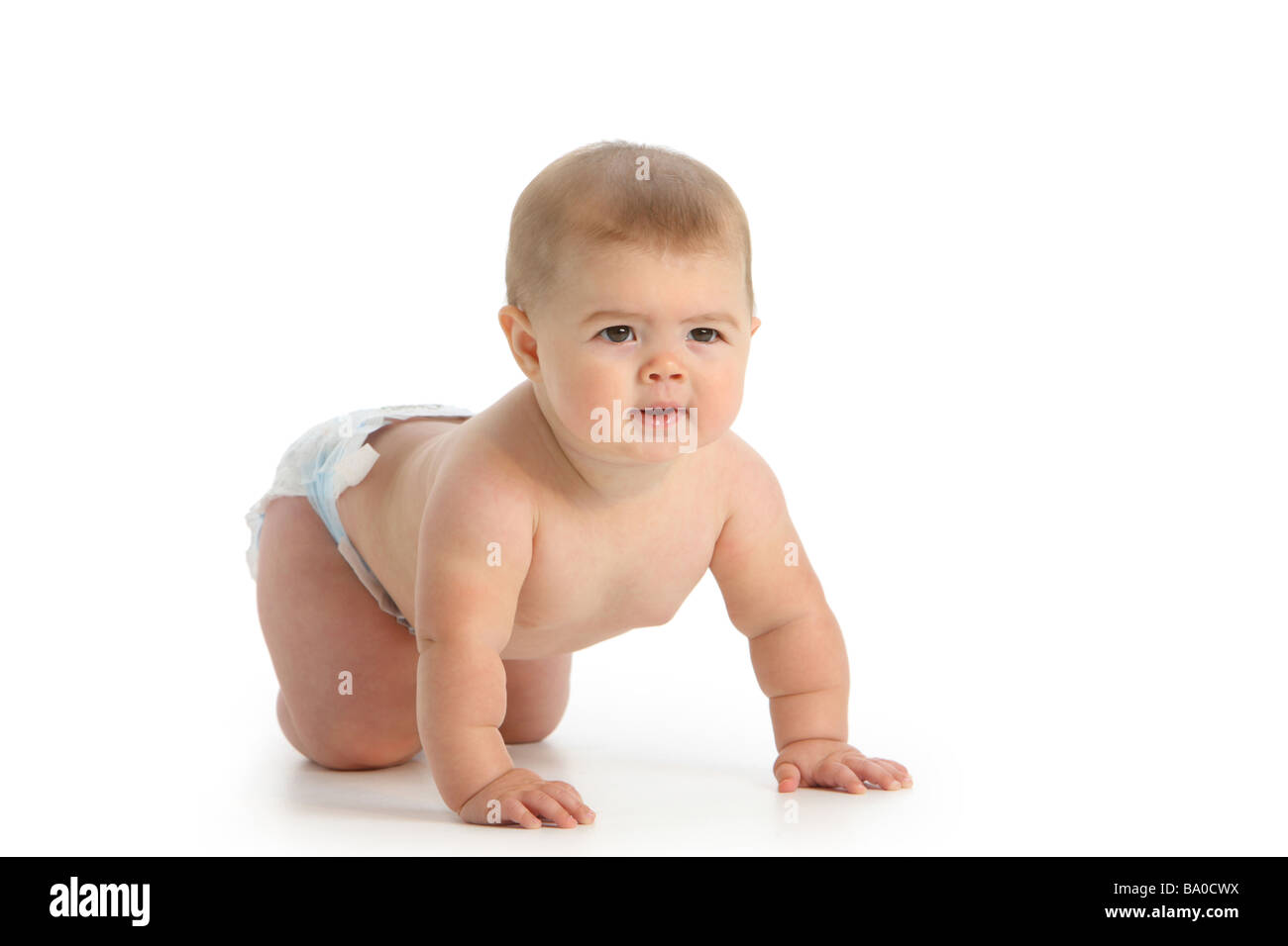Baby krabbeln auf weißem Hintergrund Stockfoto
