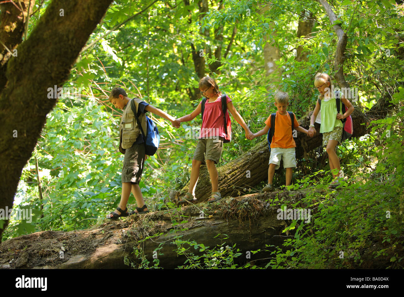 Kindergruppe im Wald über einen umgestürzten Baum Stockfoto