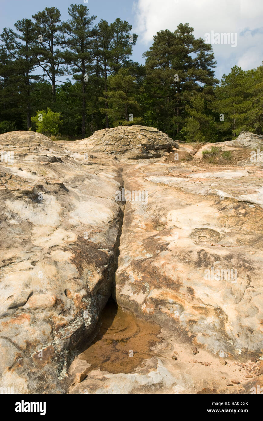 Schildkröte Felsen, Stein Haus Höhle Trail im Petit Jean State Park, Arkansas. Stockfoto