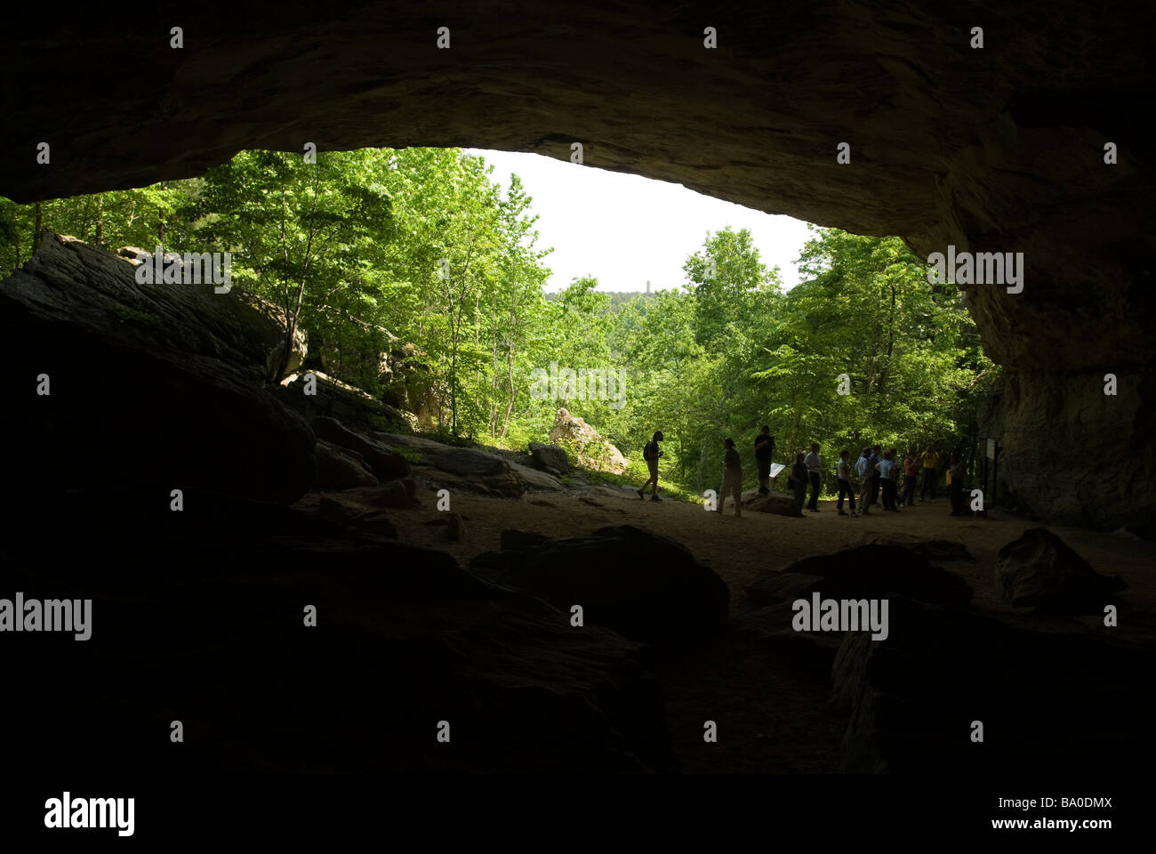 Rock House Höhle Trail in Petit Jean Staatspark, Arkansas. Stockfoto