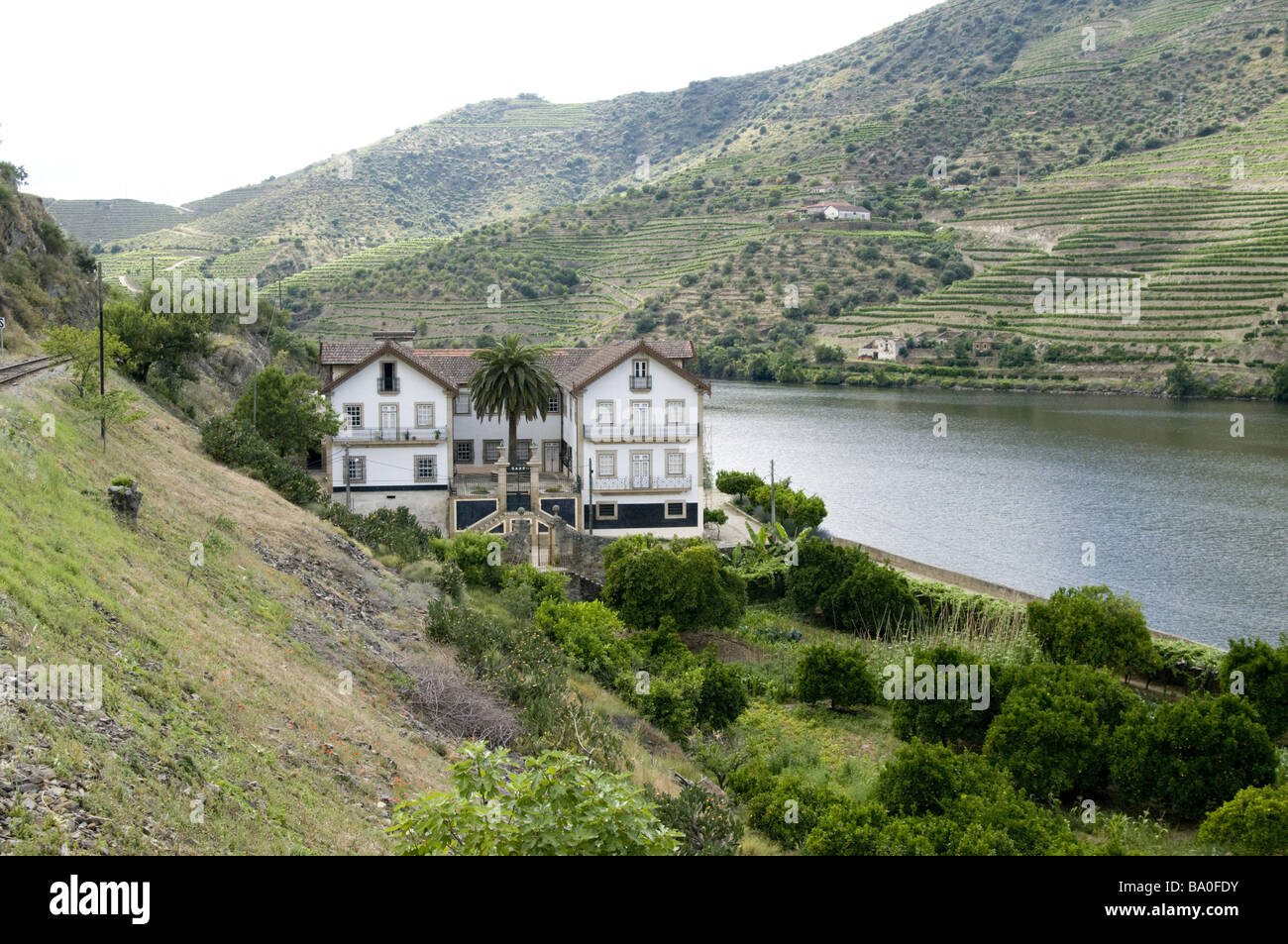 Quinta Vesúvio, Douro-Tal nördlich von Portugal Stockfoto