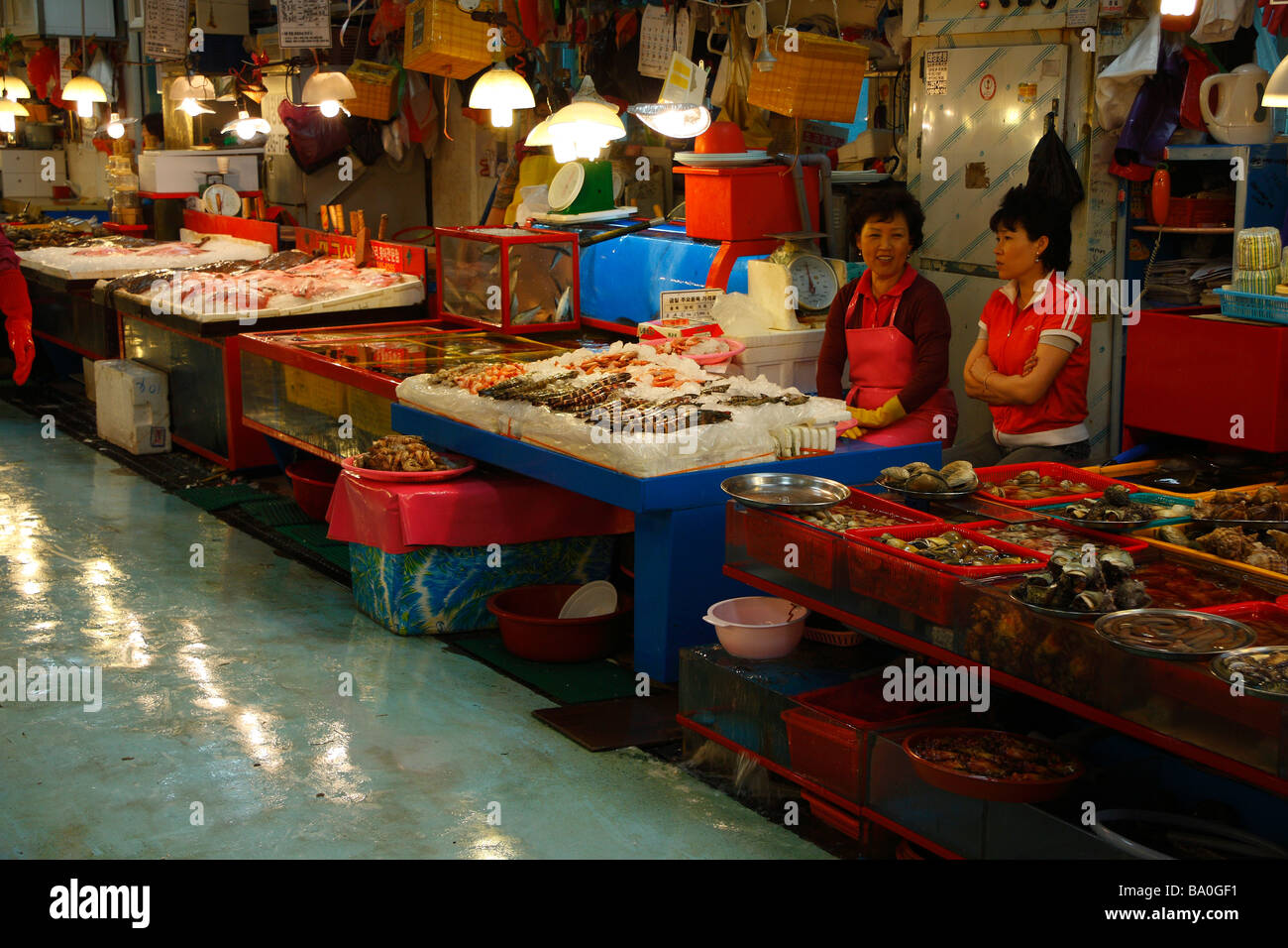 Frische Meeresfrüchte und live Meerestiere angezeigt von Händlern auf dem Fischmarkt Gebäude in Busan, Korea Stockfoto