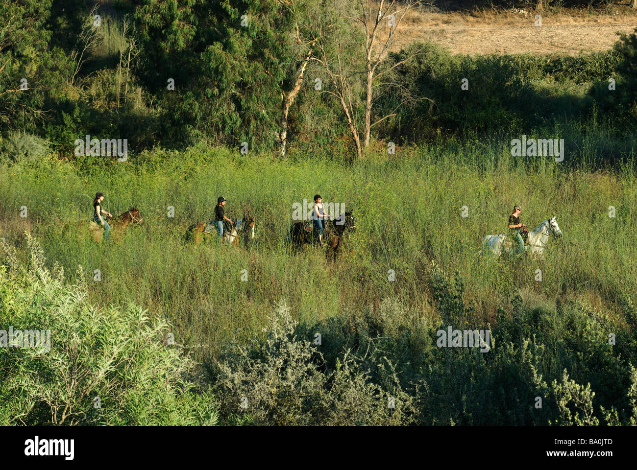 Israelische Frauen Reitpferde im Menashe Höhen oder Ramot Menashe befindet sich auf dem Carmel Bereich Nordisrael Stockfoto