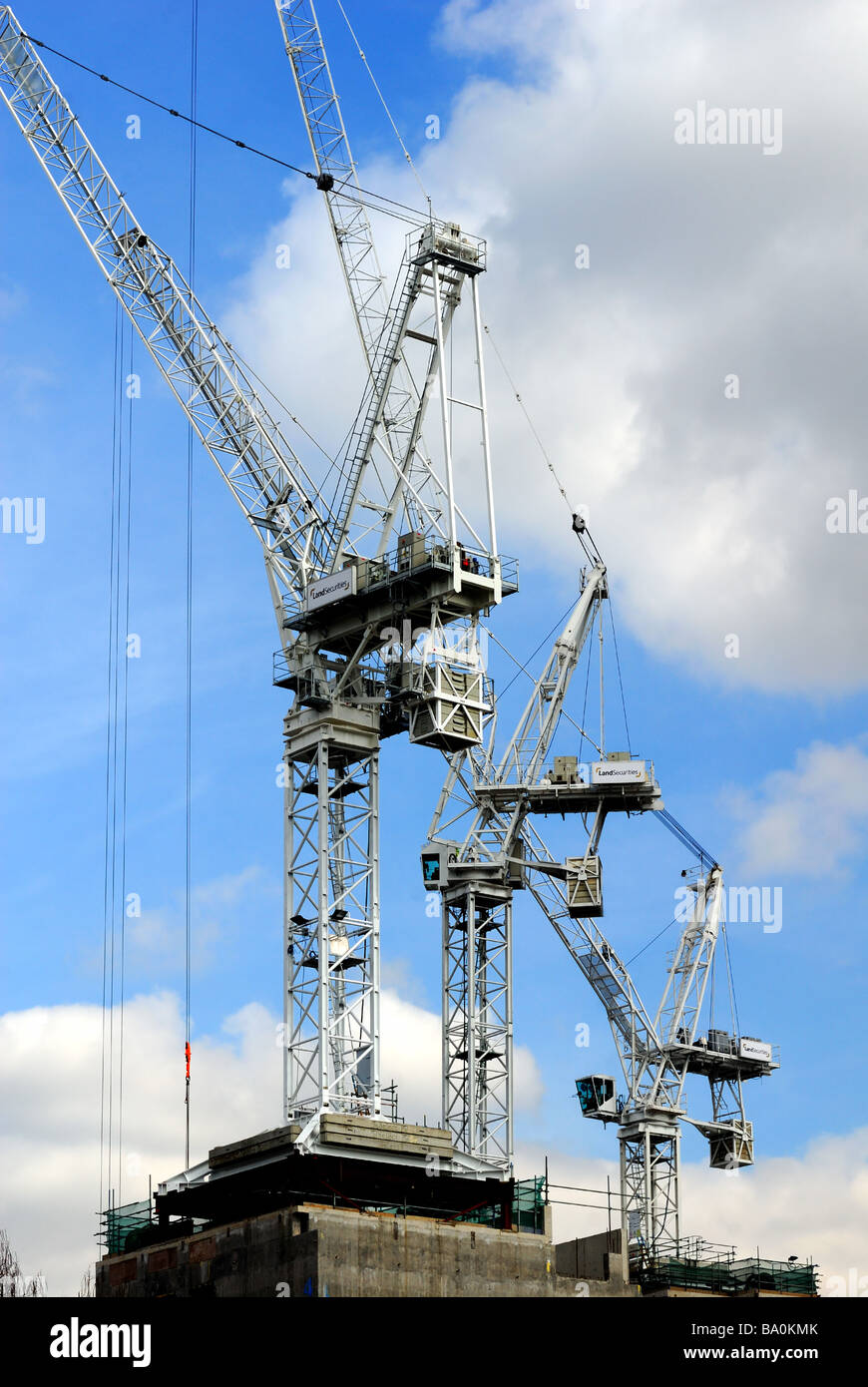 Baukräne Stockfoto