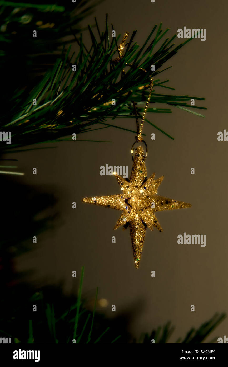 Nahaufnahme von einem glänzenden, glitzernden gold Weihnachtsstern hängen an einem Weihnachtsbaum Zweig Stockfoto