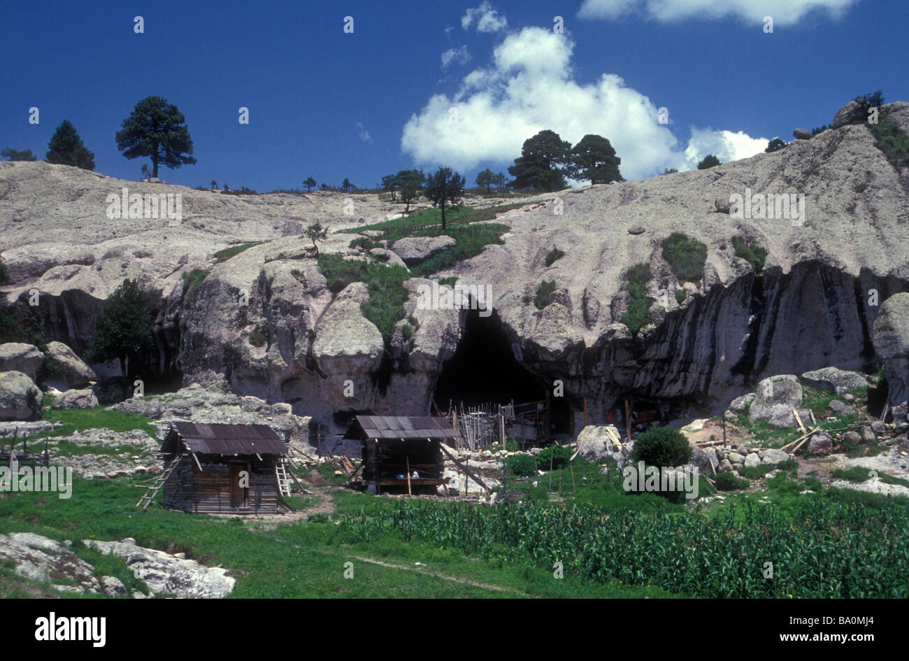 Typische Tarahumara Wohnungen und Hof in der Nähe von Creel im Großraum Copper Canyon, Chihuahua, Mexiko Stockfoto