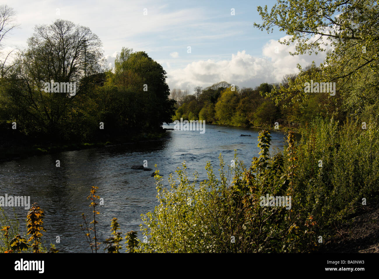der Fluss Taff gesehen von Bute Park, Cardiff, Glamorgan, South.Wales, U.K Stockfoto