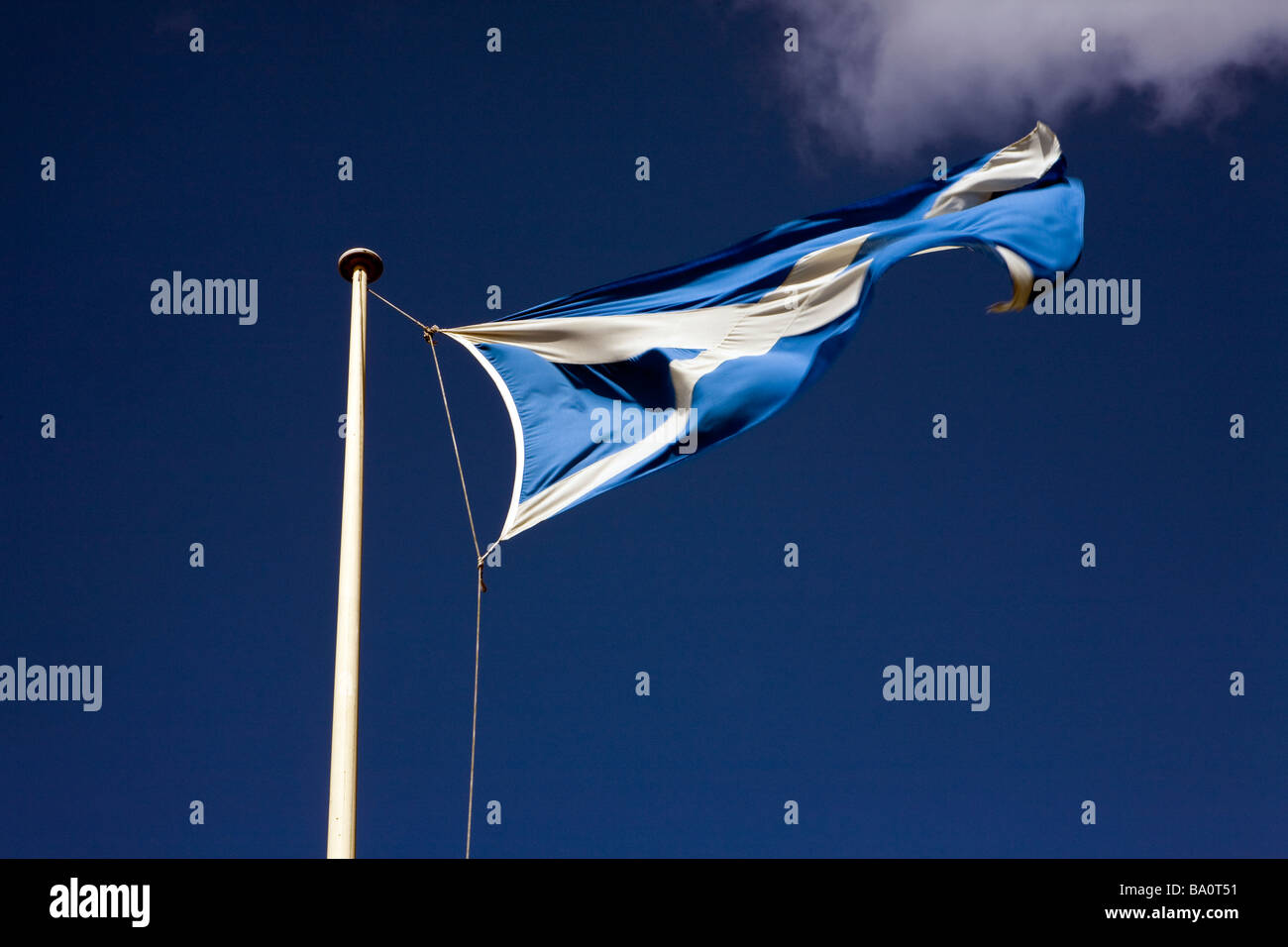 Eine schottische Fahne weht im Wind an einem sonnigen Tag mit blauem Himmel vor St Andrews Schule in West Kirby Stockfoto