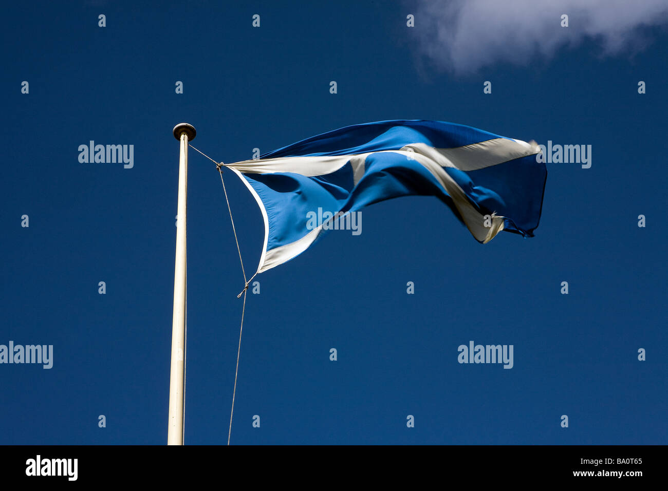 Eine schottische Fahne weht im Wind an einem sonnigen Tag mit blauem Himmel vor St Andrews Schule in West Kirby Stockfoto