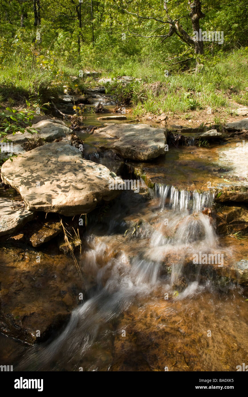 Mount Magazine Staatspark in Arkansas. Stockfoto