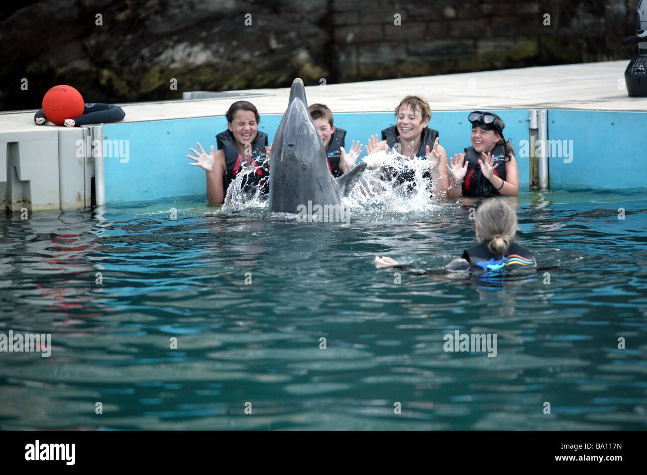Eine Familie, eine Begegnung mit einem Gefangenen Delphin Dolphin Quest, Bermuda Maritime Museum zu genießen. Stockfoto