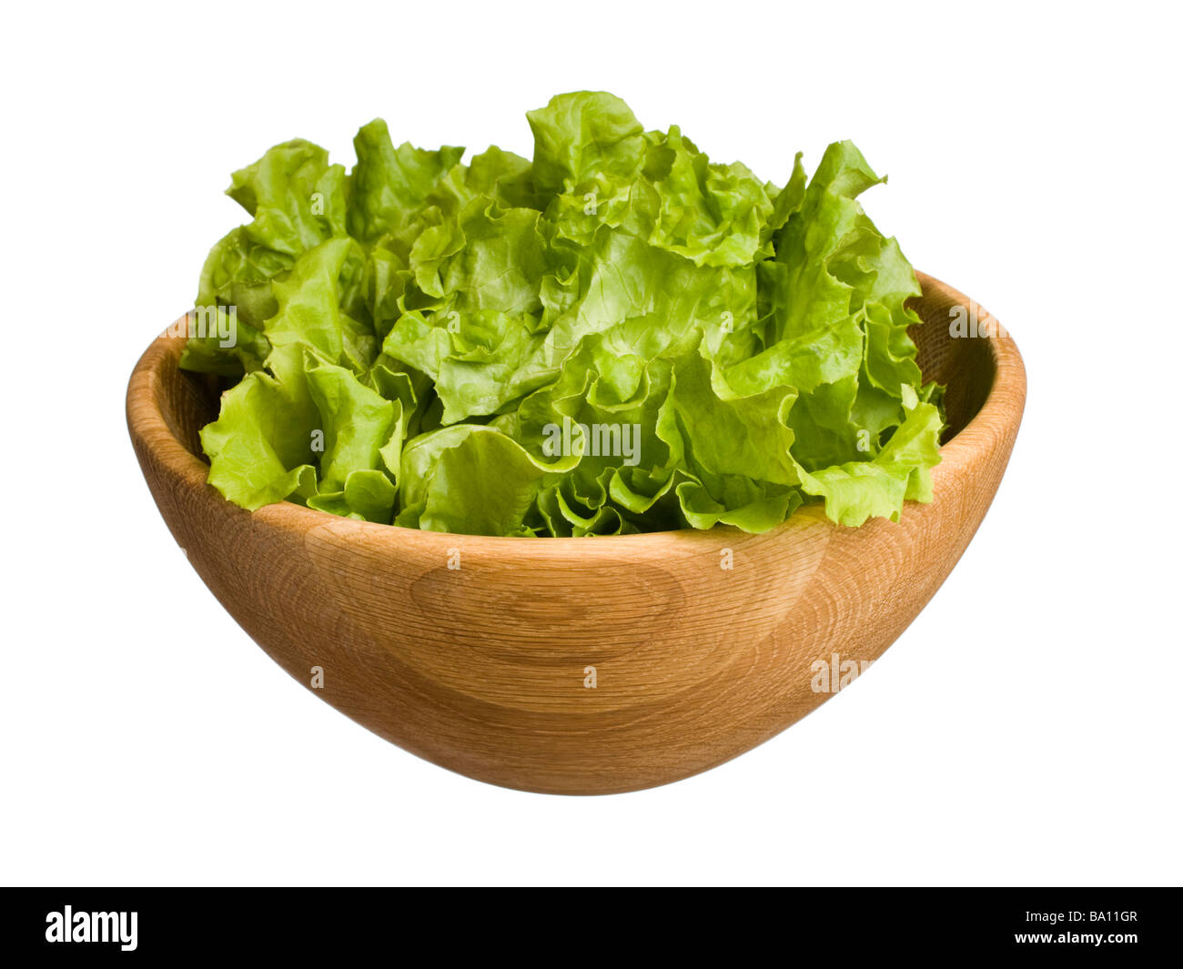 Lockige Blattsalat Stockfoto