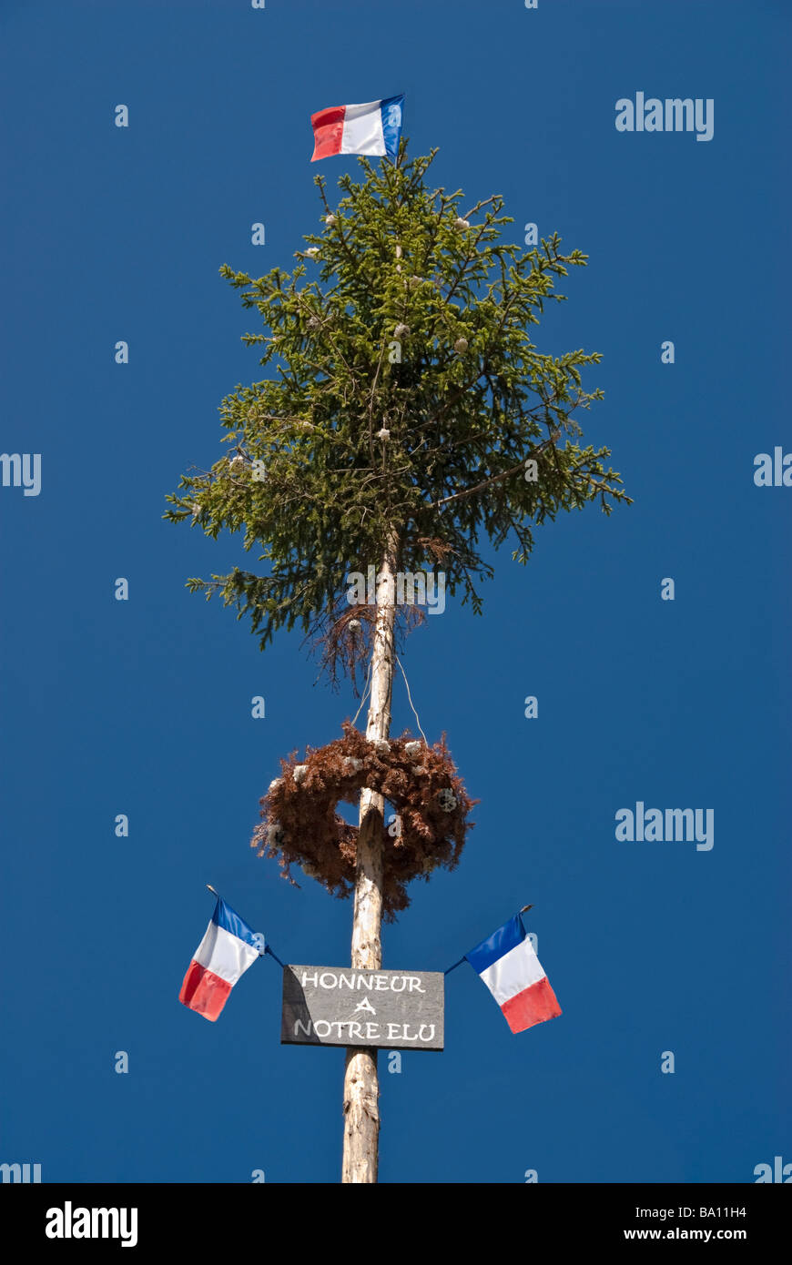 La Mai des Elus Baum Mai errichtet zu Ehren des neu gewählten Beamten Auvergne Frankreich Stockfoto