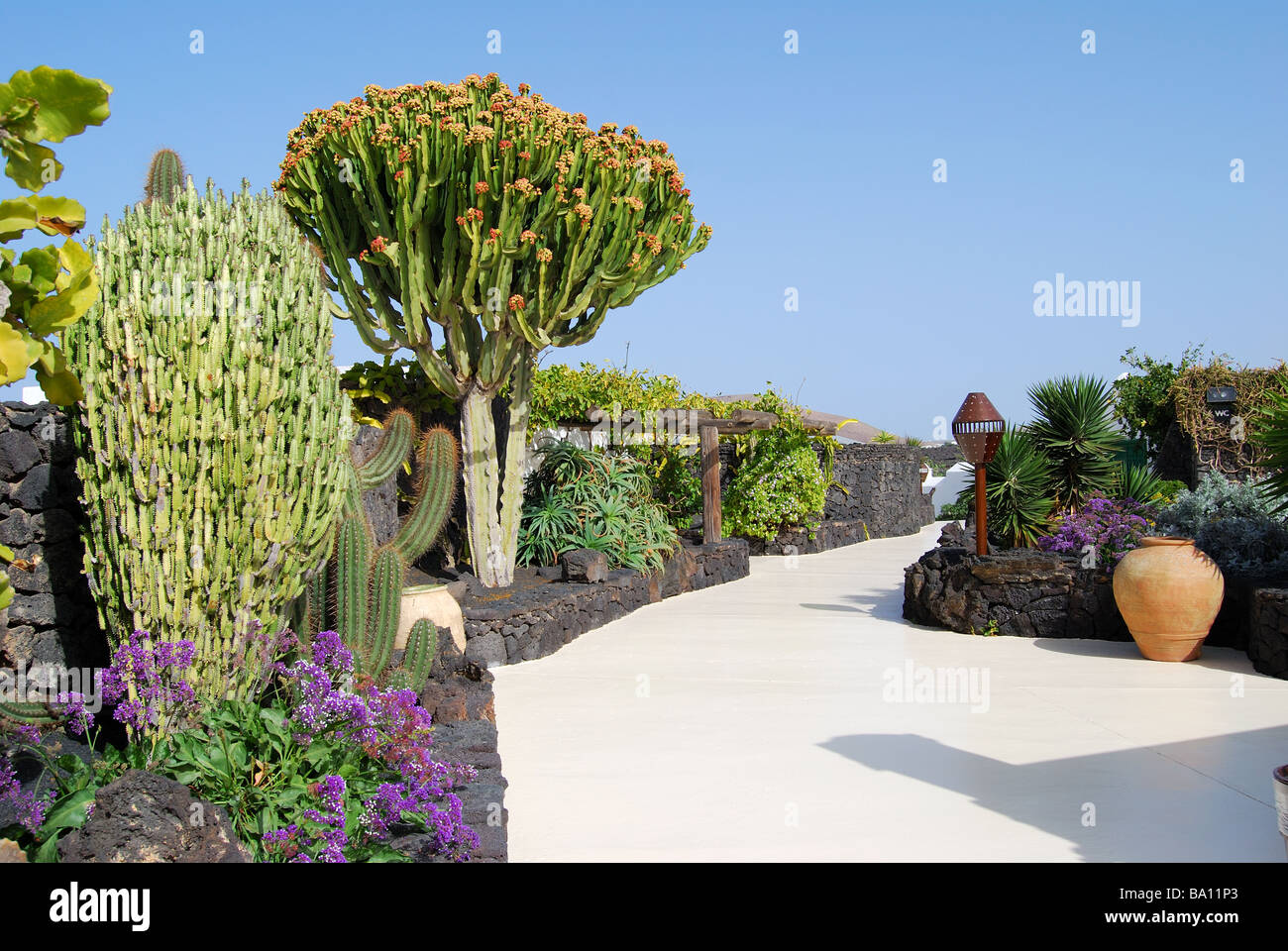 Fundacion Cesar Manrique, Taro de Tahiche, Lanzarote, Kanarische Inseln, Spanien Stockfoto