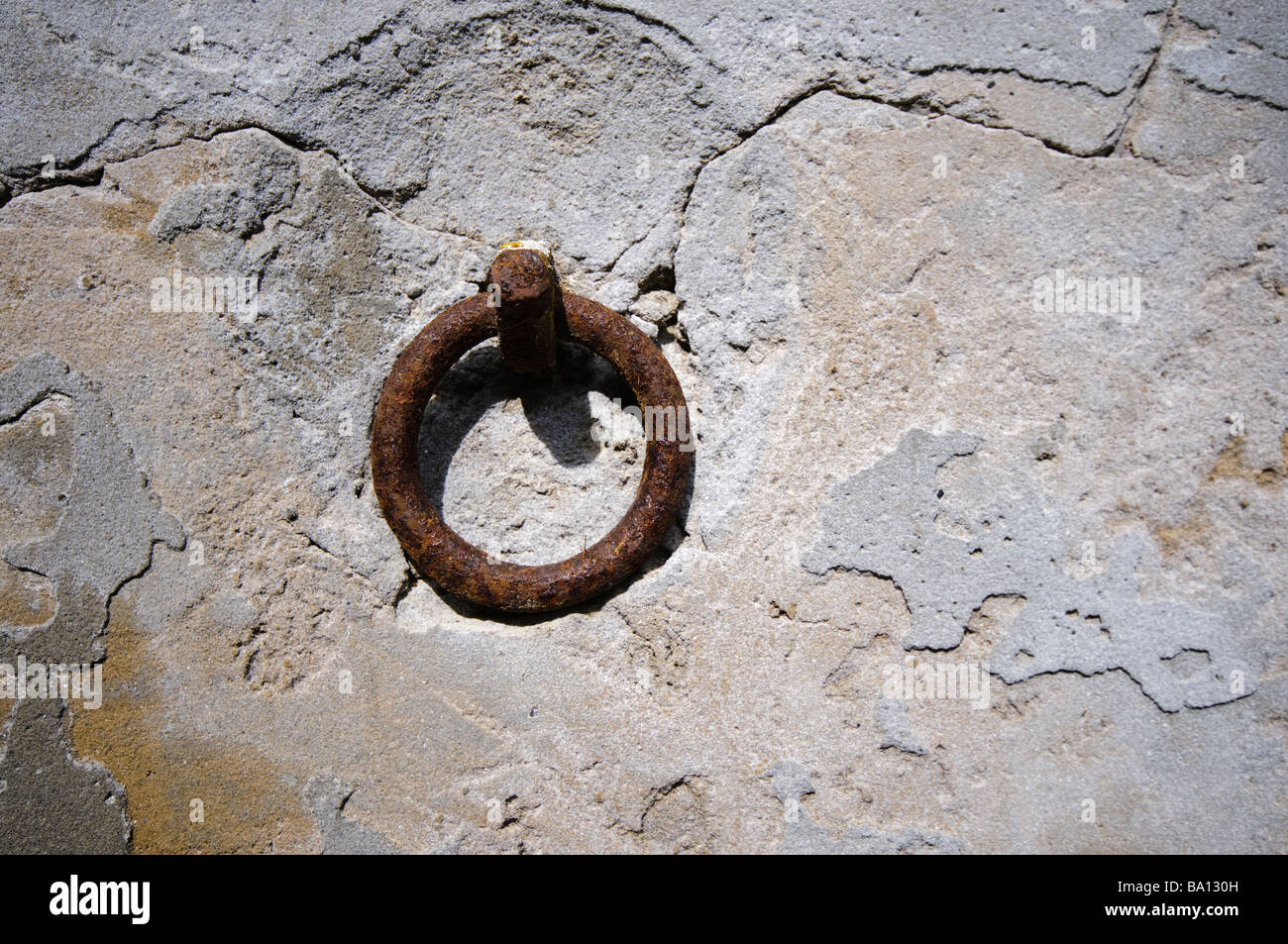 Rusty Vieh Ring auf eine alte weiße Wand Stockfoto