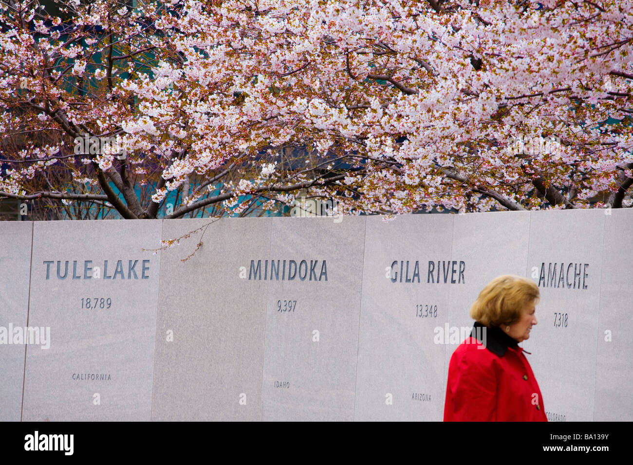 Offizielle Entschuldigung der USA für WW2 Internierungslager Japanese American Memorial nach Washington DC, Patriotismus Stockfoto