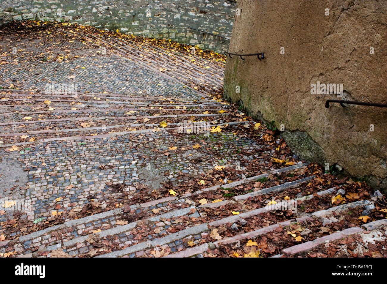 Straße gepflasterte Treppe im Herbst mit Kuhmist bedeckt. Stockfoto