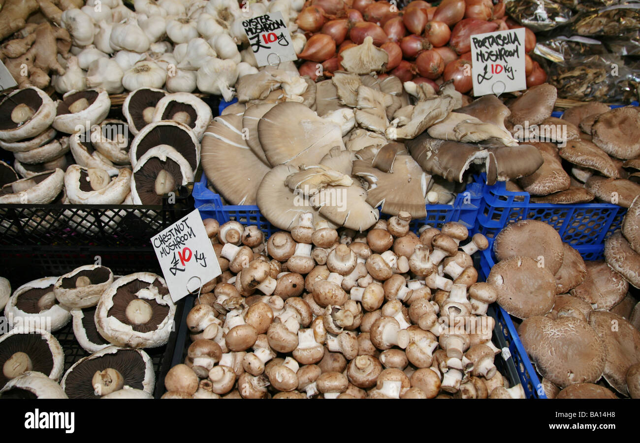 Ein Stall zu verkaufen eine Vielzahl von Pilzen an den berühmten Borough Market in London UK Stockfoto