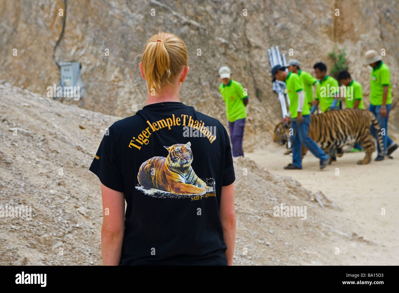 Eine Frau trägt t-Shirt mit A Tiger gedruckt auf es ist beobachten Menschen Begleitung A Tiger von The Tiger Canyon, die Käfige Stockfoto