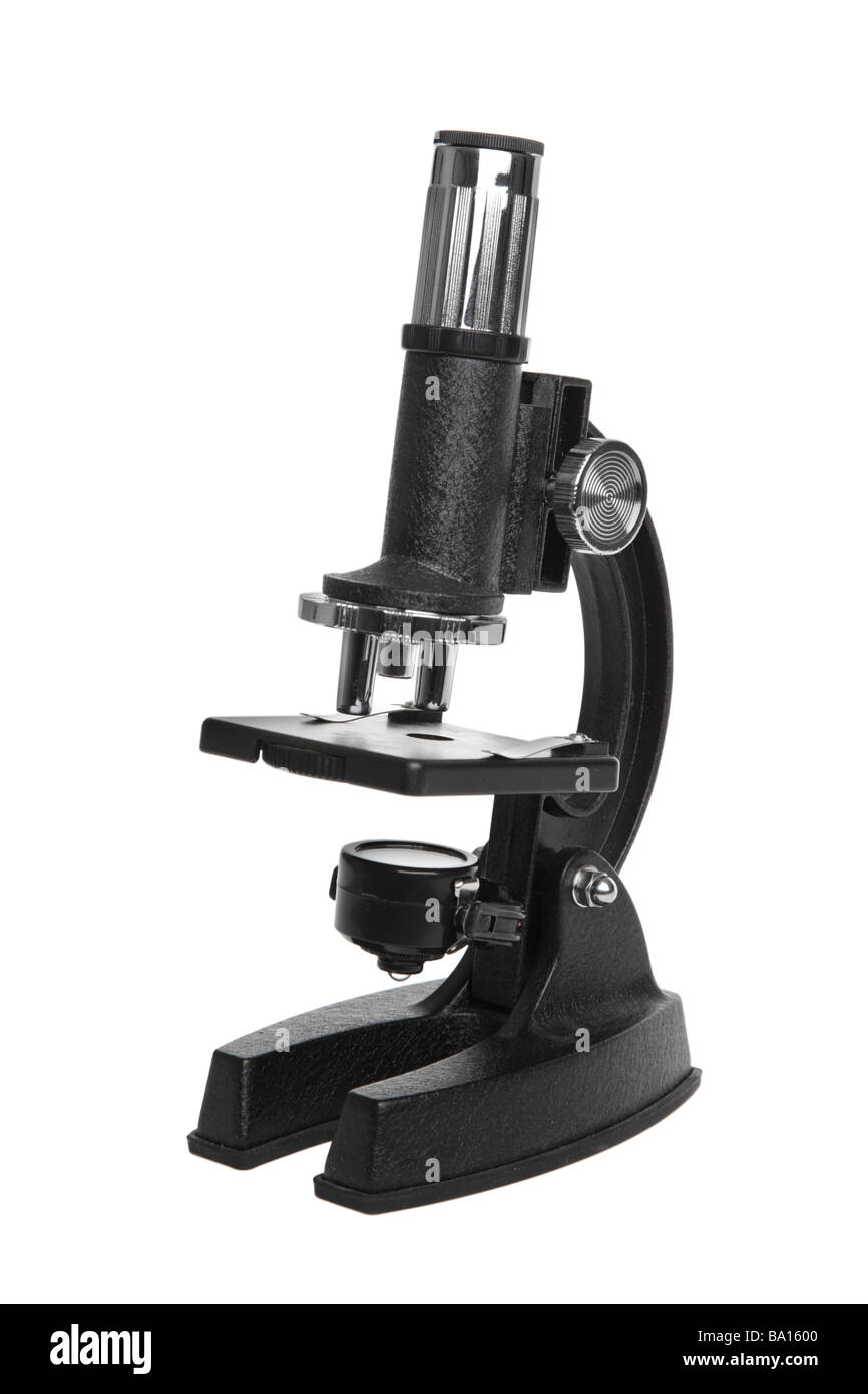 Mikroskop-Ausschnitt auf weißem Hintergrund Stockfoto