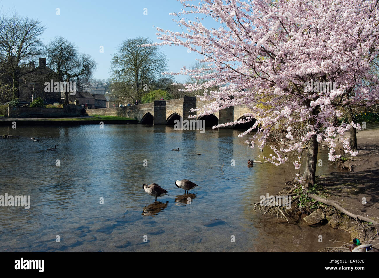 Bakewell Brücke, "Peak District", Derbyshire, England, "Great Britain", "Großbritannien" Stockfoto